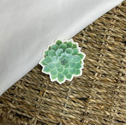 Succulent Sticker